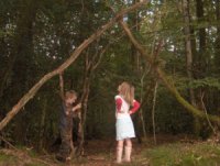 Building a Den in the Woods